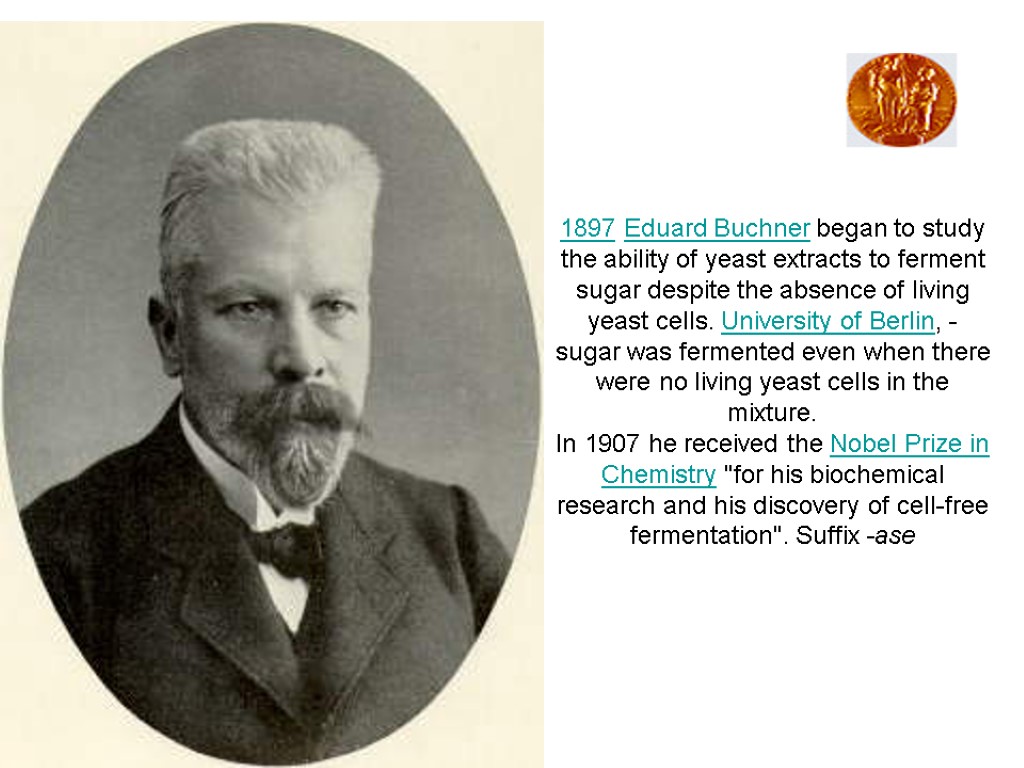 1897 Eduard Buchner began to study the ability of yeast extracts to ferment sugar